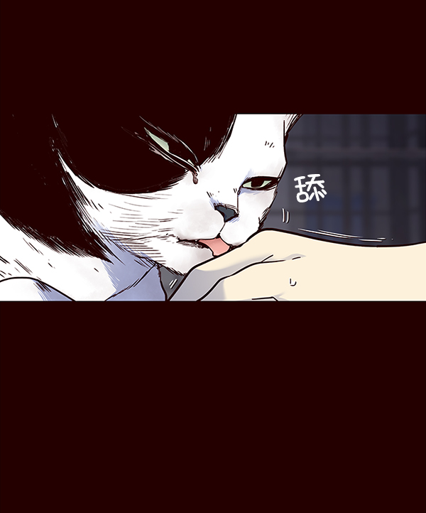 铲屎官!漫画免费漫画,第36话1图