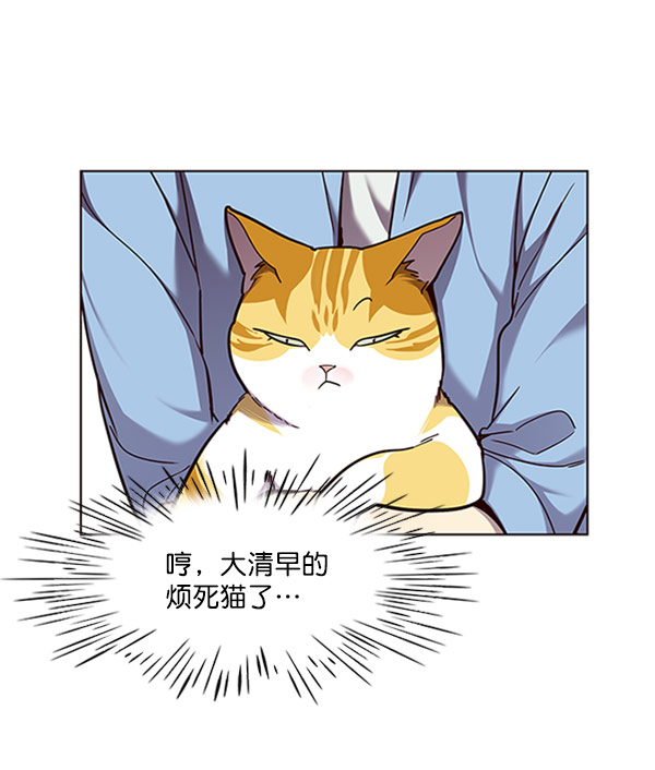 觉醒吧铲屎官漫画免费观看180话漫画,第62话2图