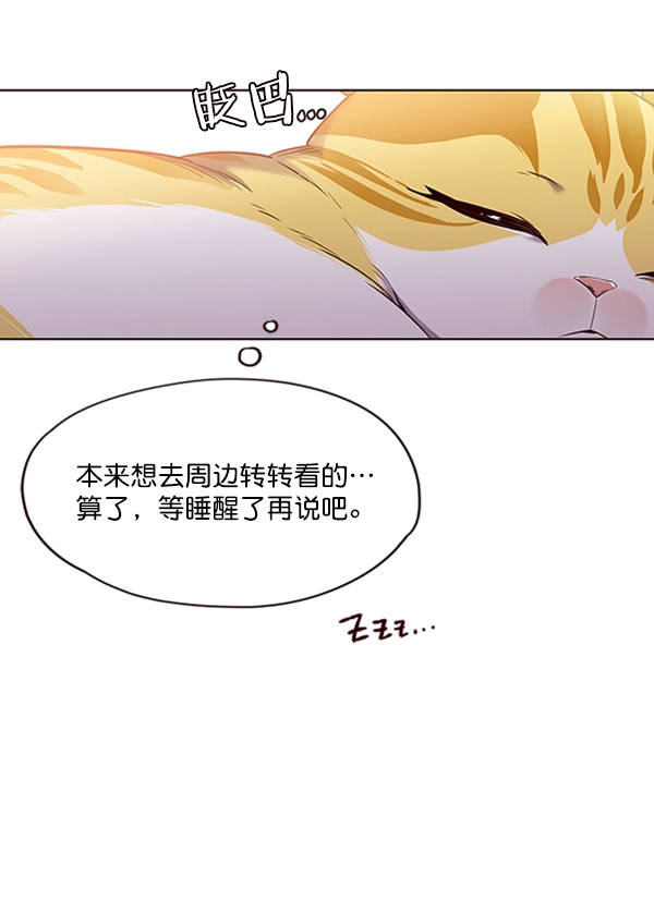 铲屎官!漫画在线观看漫画,第70话1图