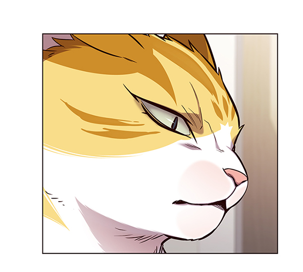 觉醒吧铲屎官335漫画,第164话2图