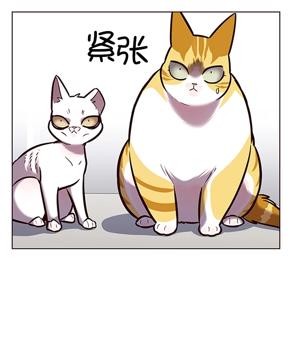 觉醒吧铲屎官漫画免费观看180话漫画,第188话2图