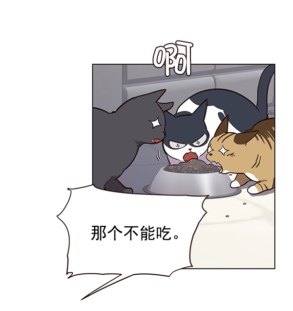 觉醒吧铲屎官335漫画,第9话1图