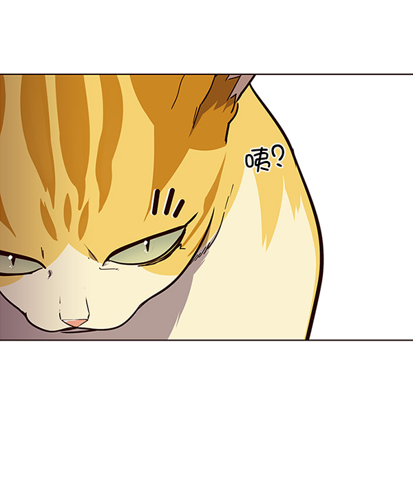 觉醒吧铲屎官335漫画,第29话1图