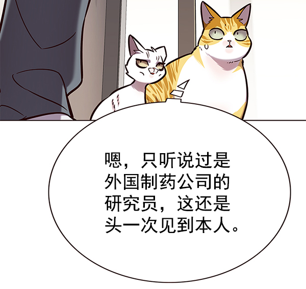 觉醒吧铲屎官在线漫画,第177话2图