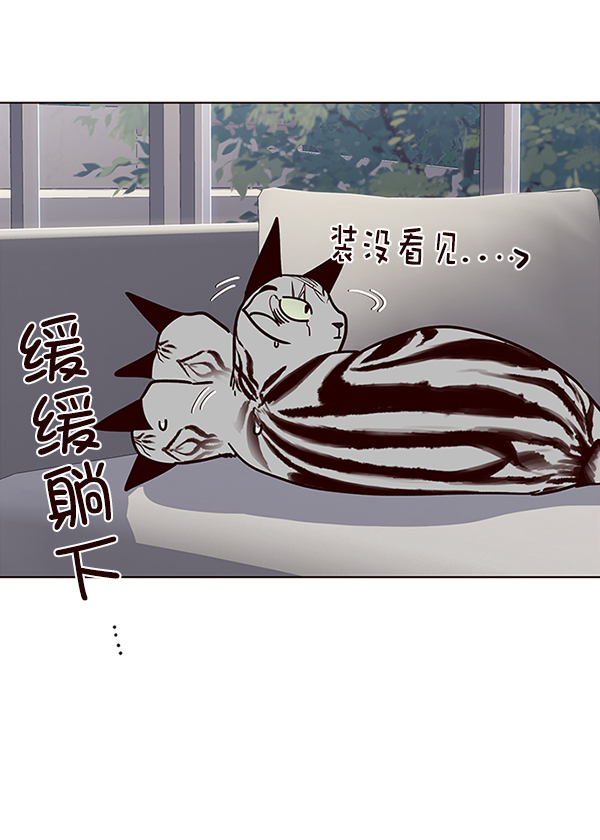 觉醒吧铲屎官漫画免费观看180话漫画,第37话2图