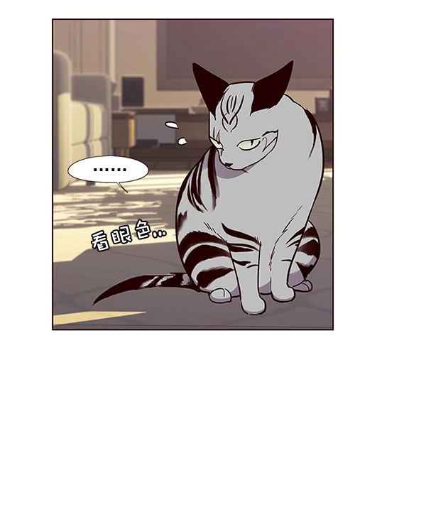 觉醒吧铲屎官漫画免费观看180话漫画,第38话2图