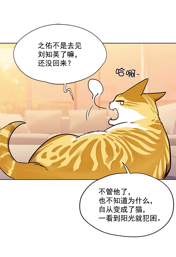 觉醒吧铲屎官漫画免费观看180话漫画,第56话1图