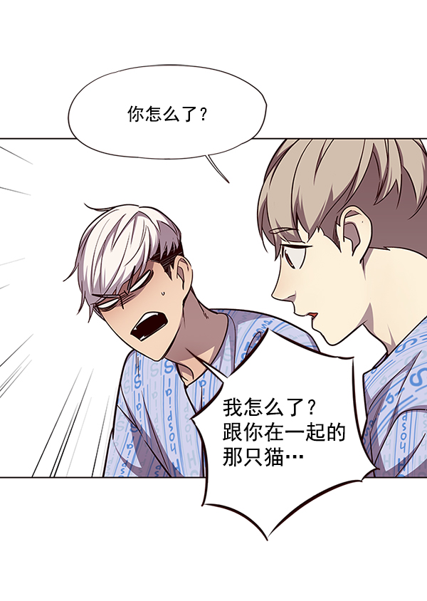 觉醒吧铲屎官335漫画,第46话1图
