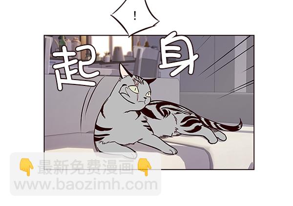 觉醒吧铲屎官335漫画,第7话2图