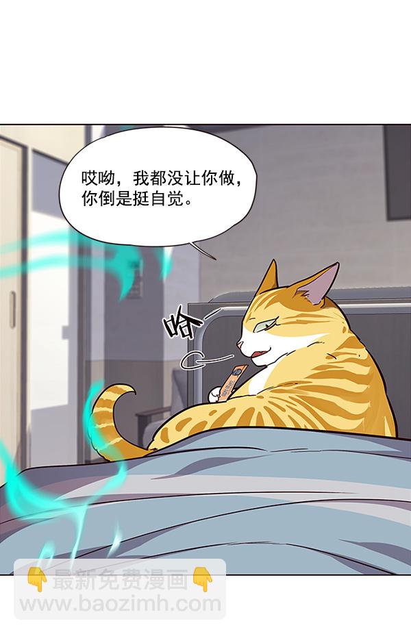 觉醒吧铲屎官漫画免费观看180话漫画,第28话1图