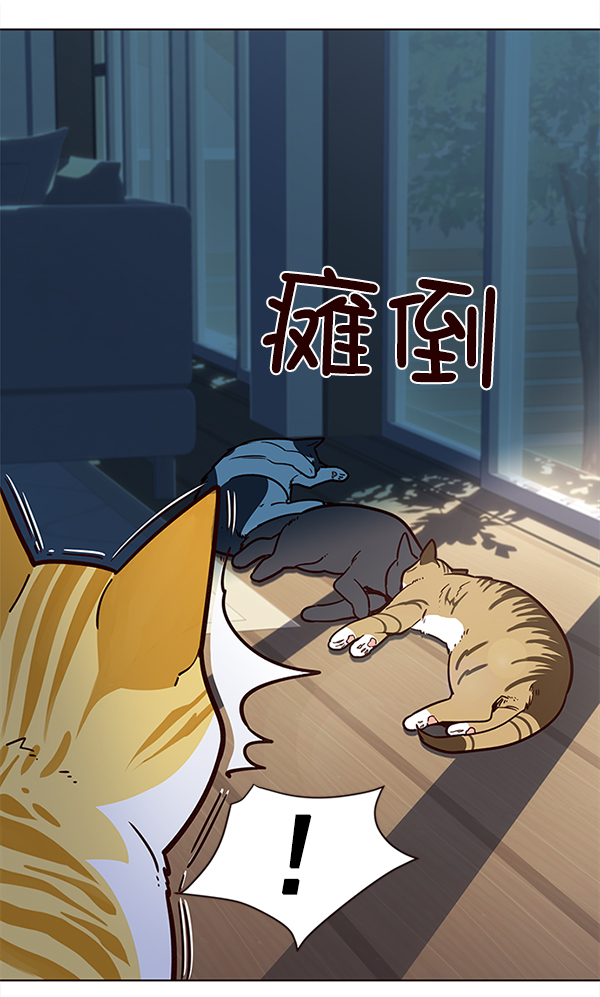 觉醒吧铲屎官漫画免费观看180话漫画,第11话1图