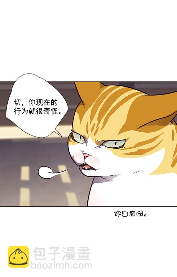 觉醒吧铲屎官335漫画,第50话2图