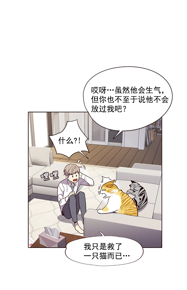 觉醒吧铲屎官漫画免费观看180话漫画,第6话2图