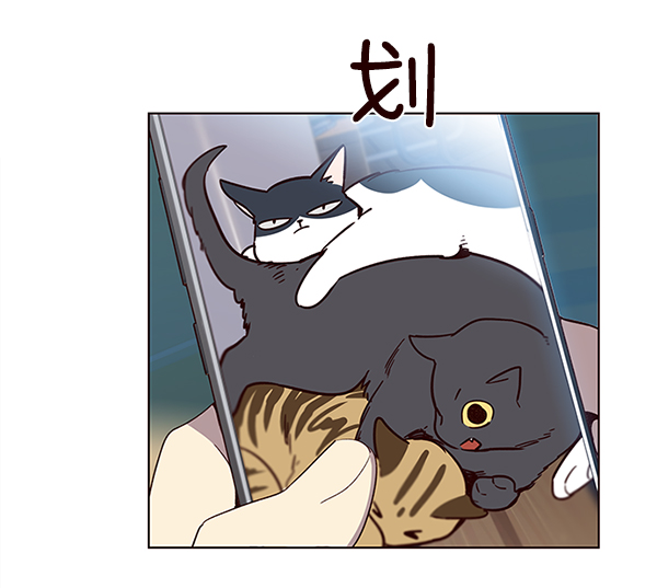 觉醒吧铲屎官漫画免费观看180话漫画,第11话1图