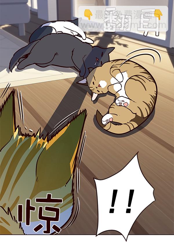 觉醒吧铲屎官漫画免费观看180话漫画,第11话1图