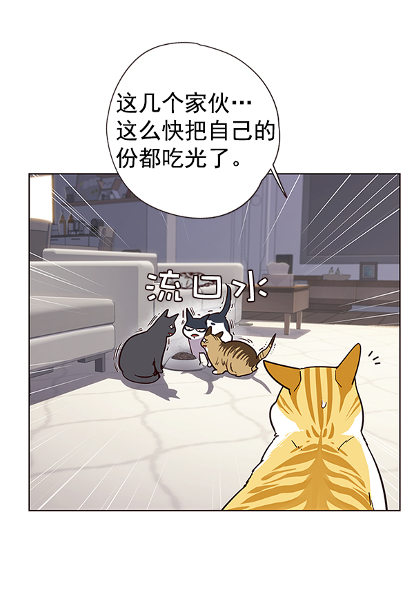 觉醒吧铲屎官335漫画,第9话2图
