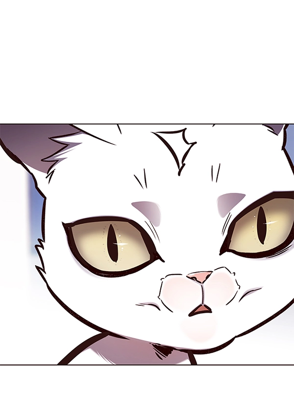 觉醒吧铲屎官335漫画,第144话2图