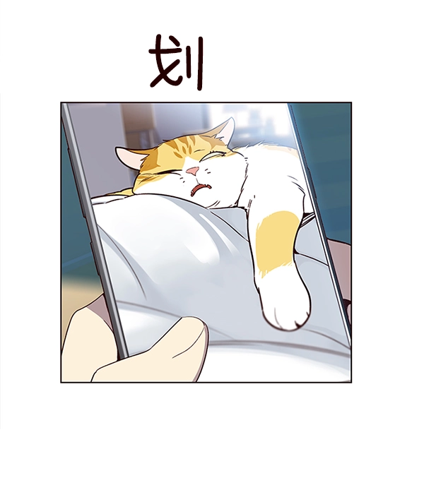 觉醒吧铲屎官漫画免费观看180话漫画,第11话2图