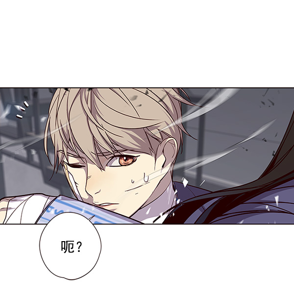 觉醒吧铲屎官335漫画,第33话1图