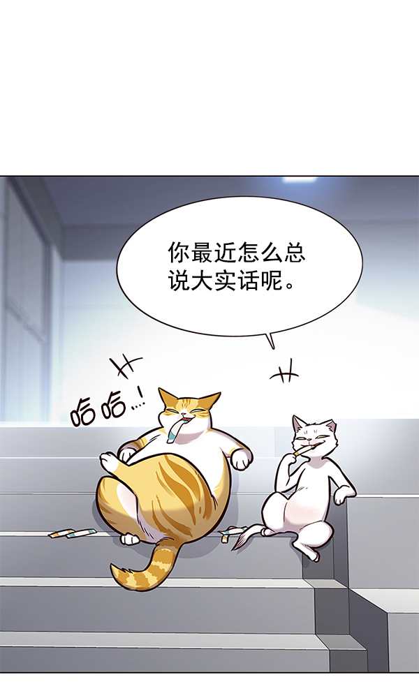 觉醒吧铲屎官原名漫画,第153话1图