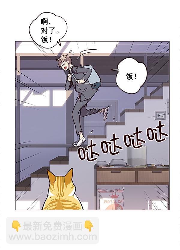 铲屎官!漫画在线观看漫画,第9话1图