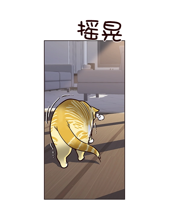 觉醒吧铲屎官漫画免费观看180话漫画,第11话1图