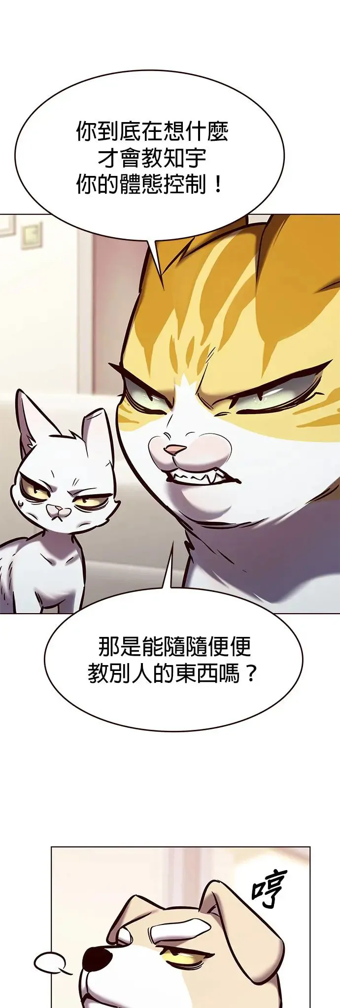 铲屎官!漫画在线观看漫画,第285话1图