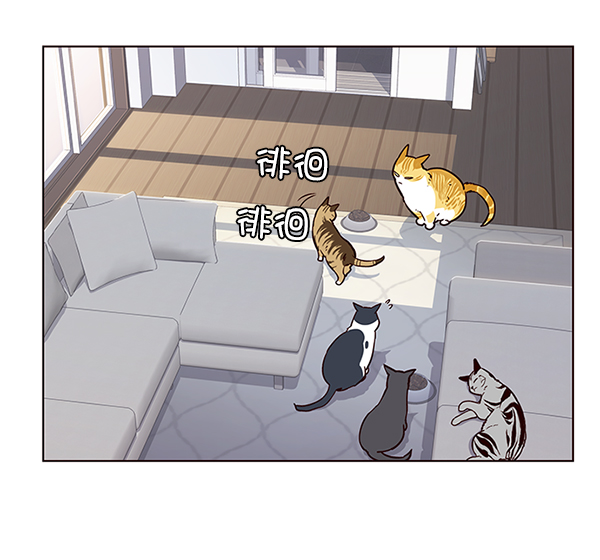 觉醒吧铲屎官335漫画,第9话2图
