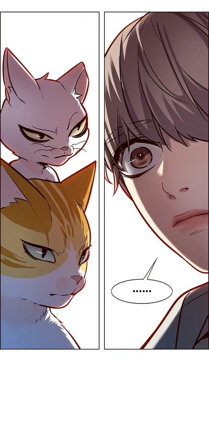 觉醒吧铲屎官335漫画,第239话1图