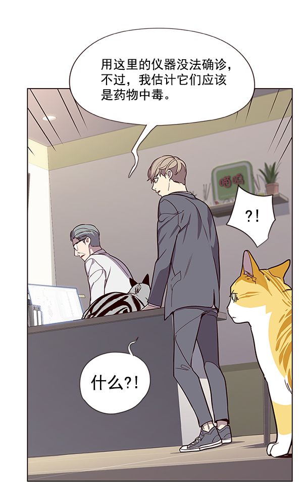 觉醒吧铲屎官漫画免费观看180话漫画,第10话2图