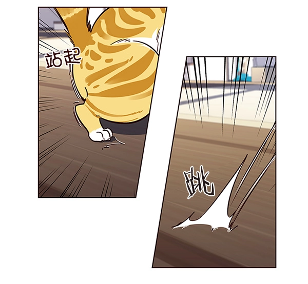觉醒吧铲屎官335漫画,第16话2图