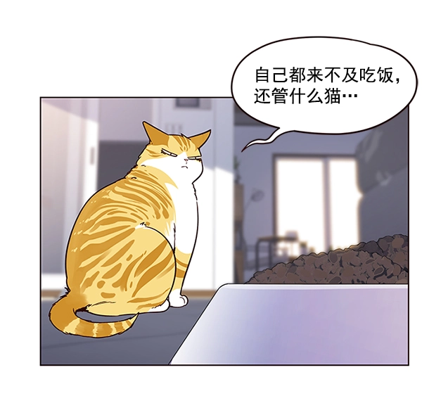 觉醒吧铲屎官335漫画,第9话2图