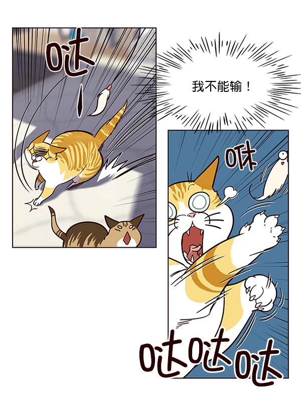 觉醒吧铲屎官335漫画,第16话1图
