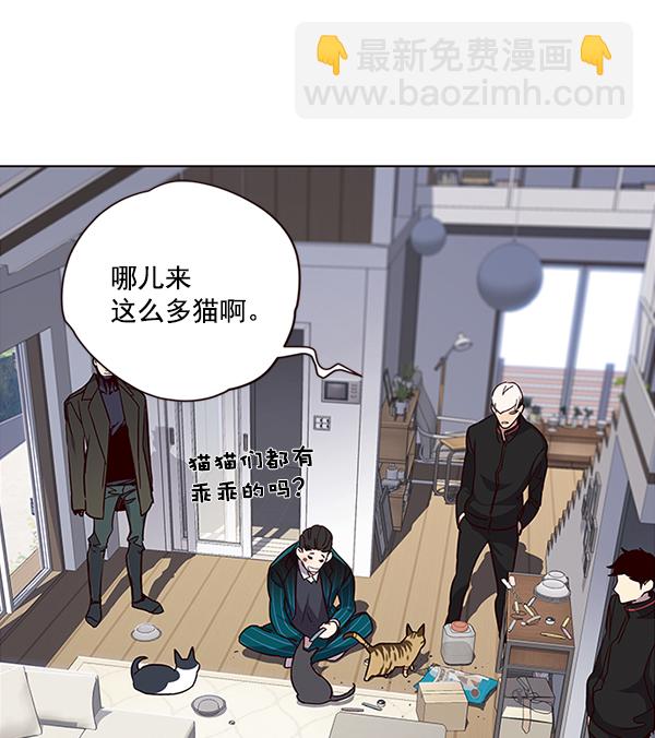 觉醒吧铲屎官151话免费看漫画漫画,第35话2图