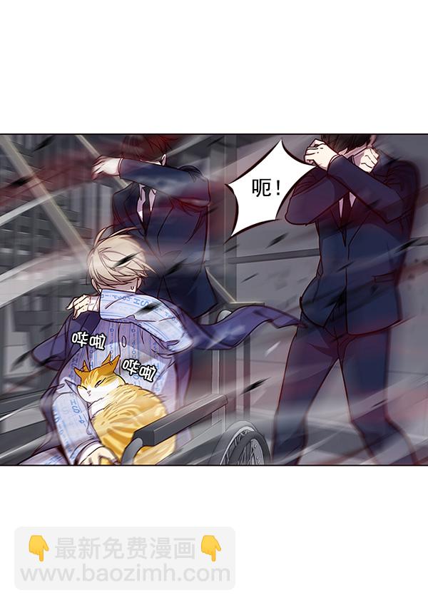 觉醒吧铲屎官335漫画,第33话1图
