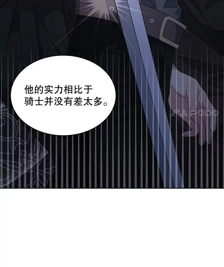 穿书已经穿腻了漫画,31.护卫骑士2图