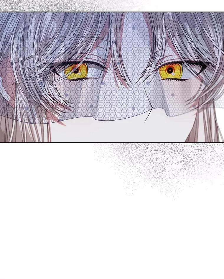 穿书已经穿腻了漫画,56.卡西翁的葬礼2图