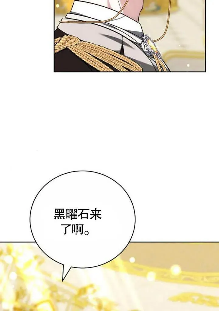 黑曜石的新娘男主是谁漫画,第48话2图