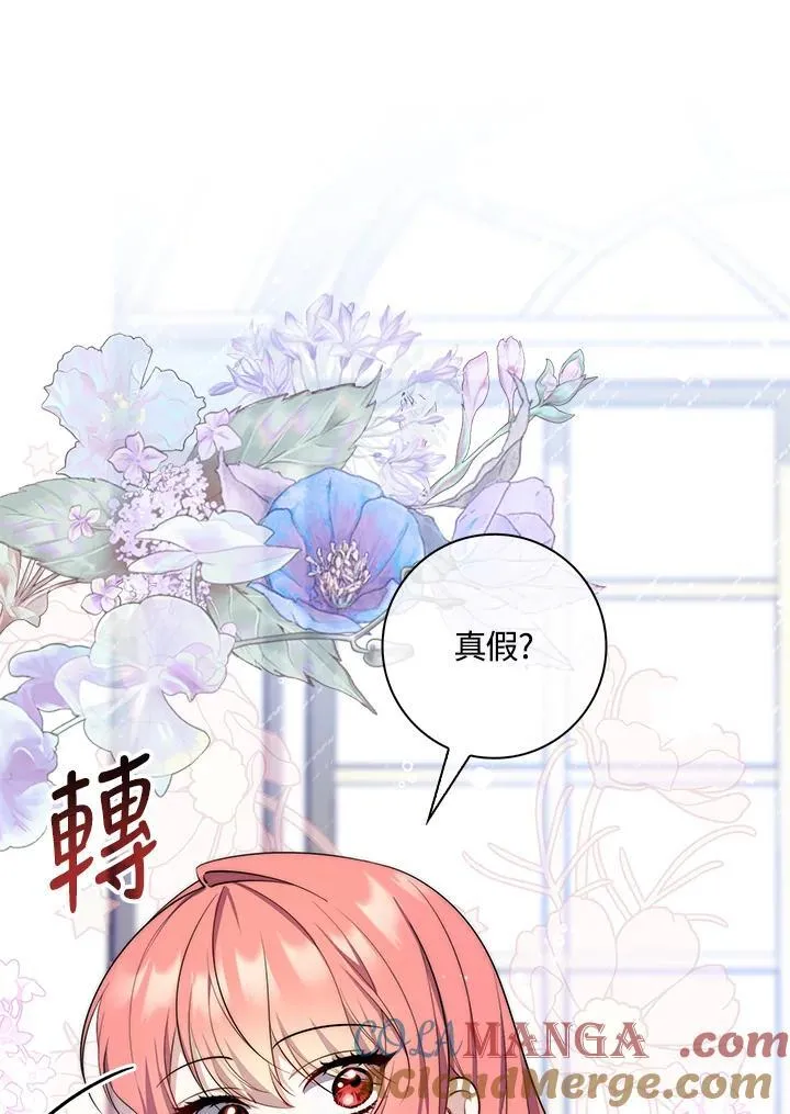 占卜的短剧漫画,第26话1图