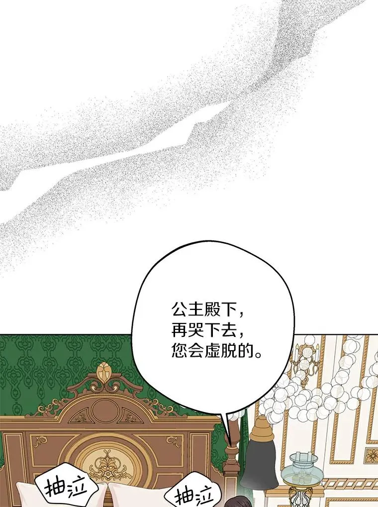 私生公主的第十次人生漫画,30.国务会议2图