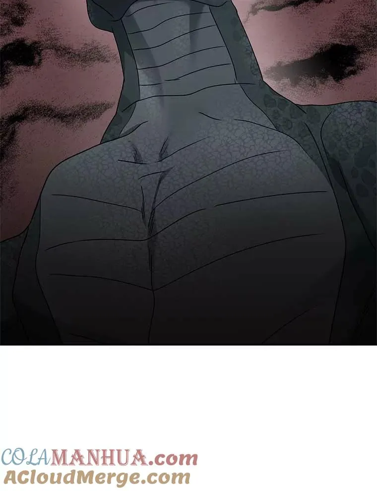 私生公主的第十次人生漫画,44.解救1图