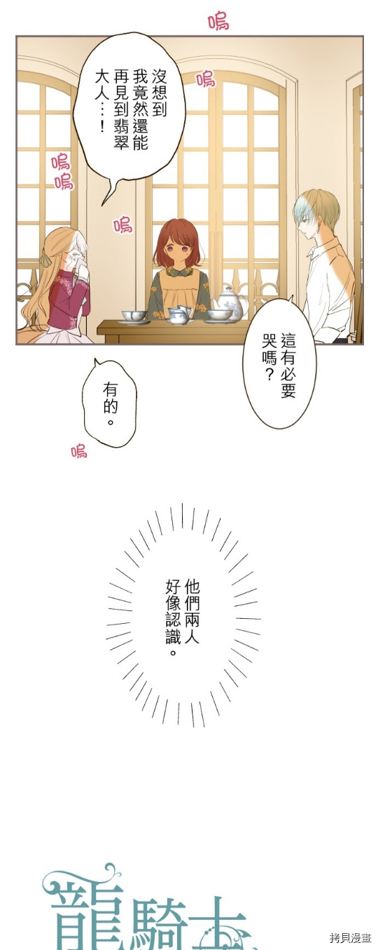 龙骑士与转生圣女漫画,第19话2图