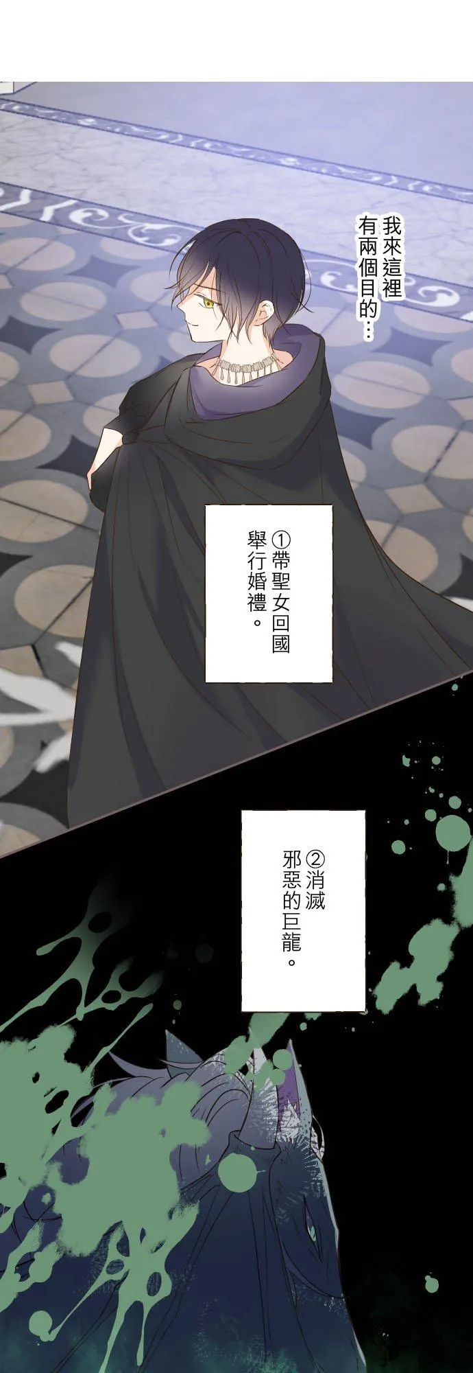 龙骑士和魔法师小说漫画,82话 美男子2图