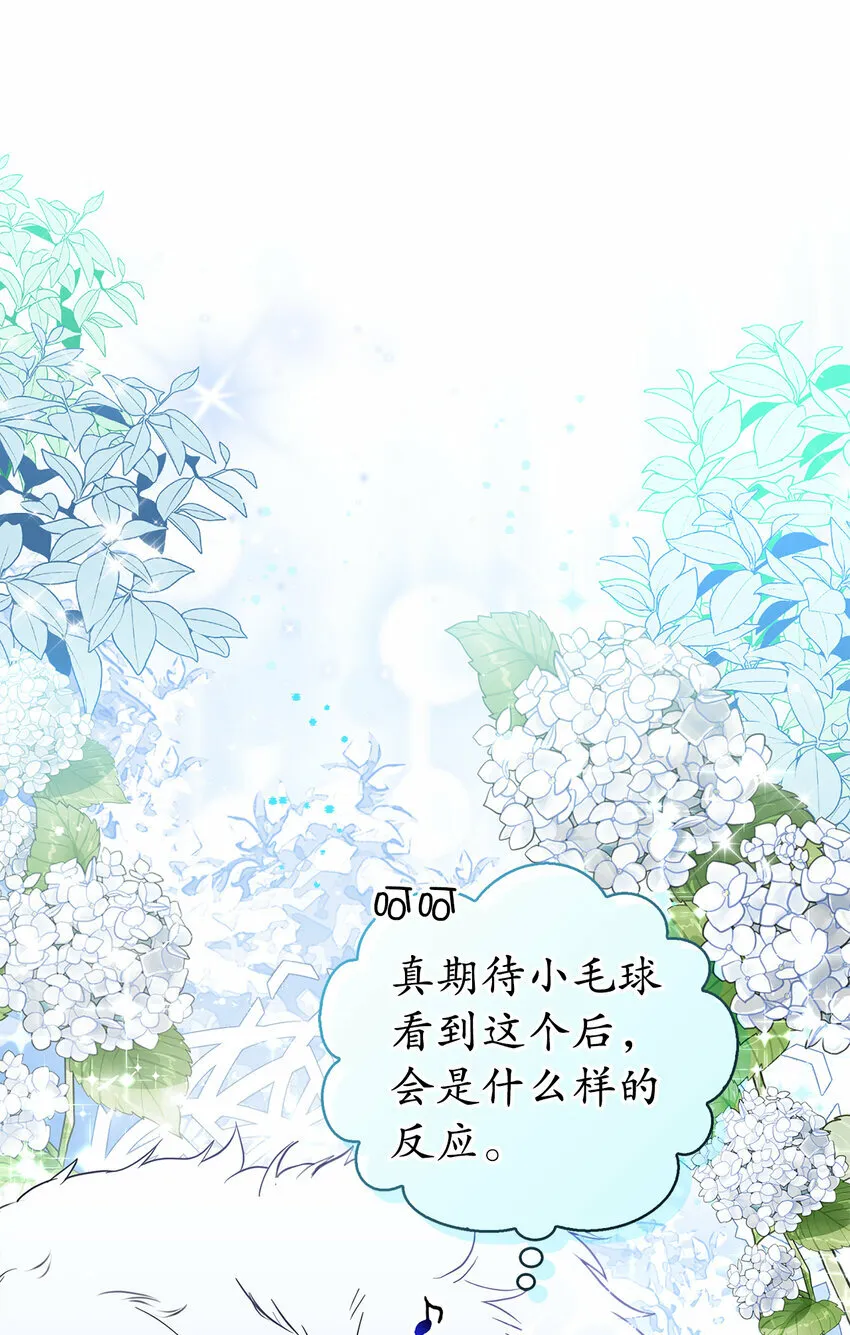 狮子公爵家的松鼠千金86话漫画,13 星座大人降临2图