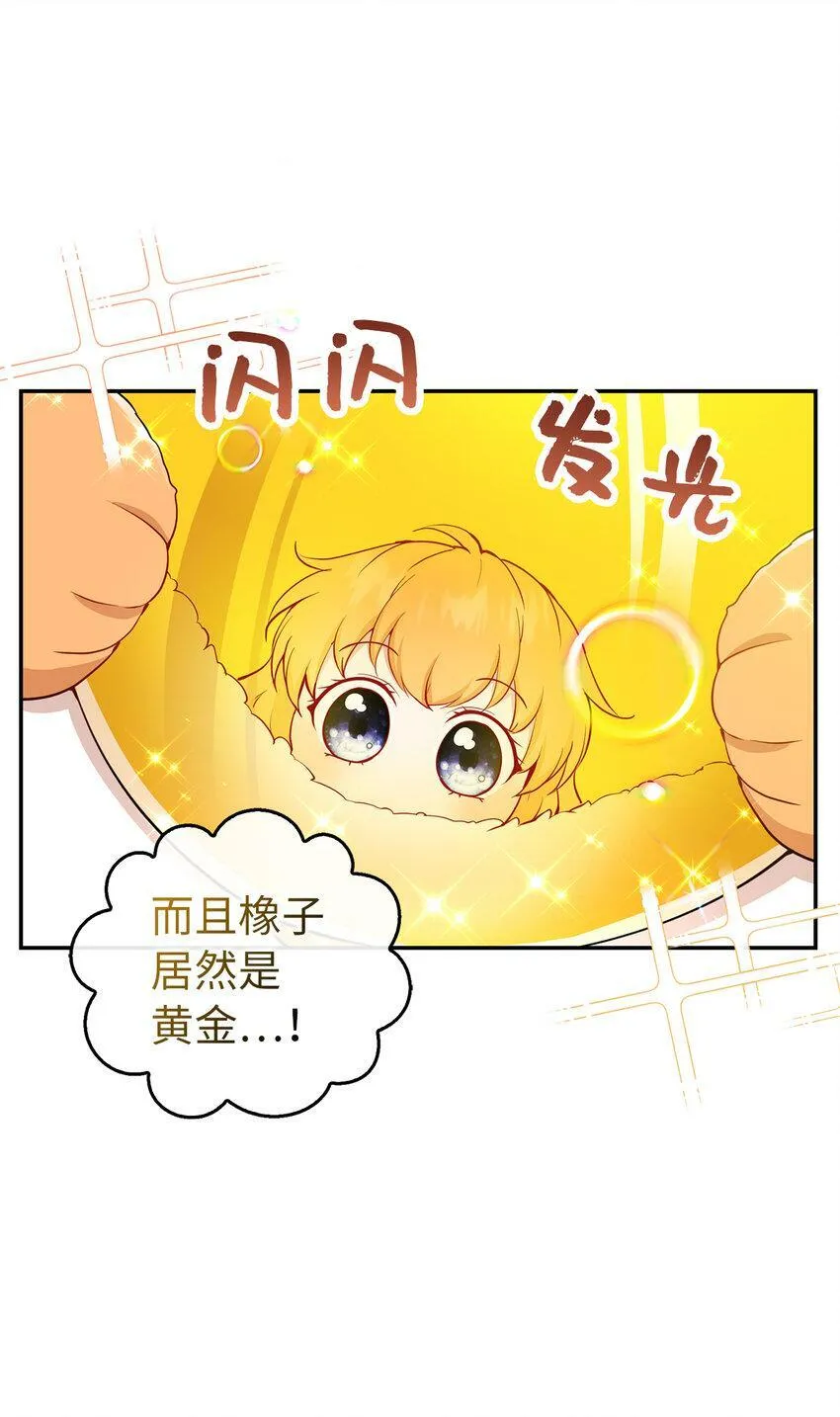 狮子公爵家的松鼠千金86话漫画,21 被误解的礼物1图