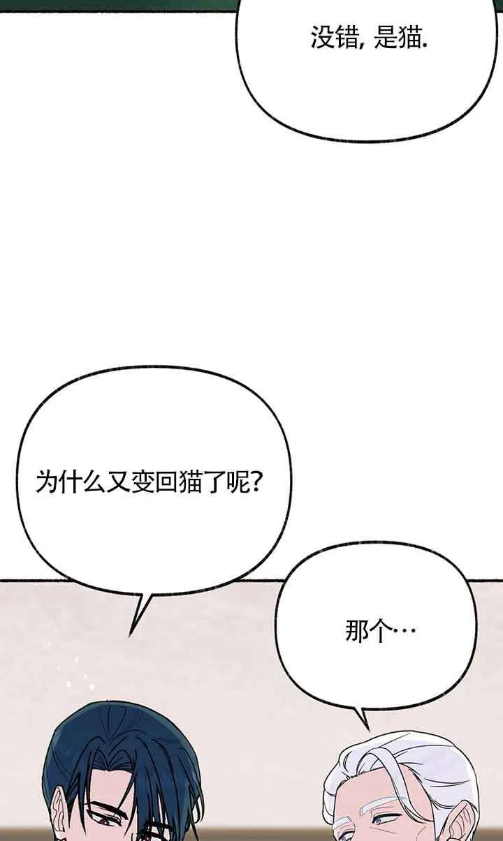 成了每晚和偏执暴君共眠的猫漫画,第18话2图
