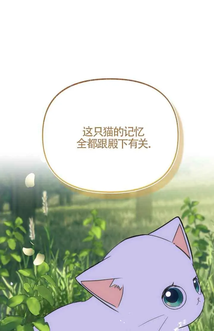 成了每晚和偏执暴君共眠的猫漫画,第08话1图