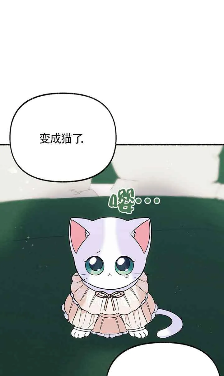 成了每晚和偏执暴君共眠的猫漫画,第18话1图