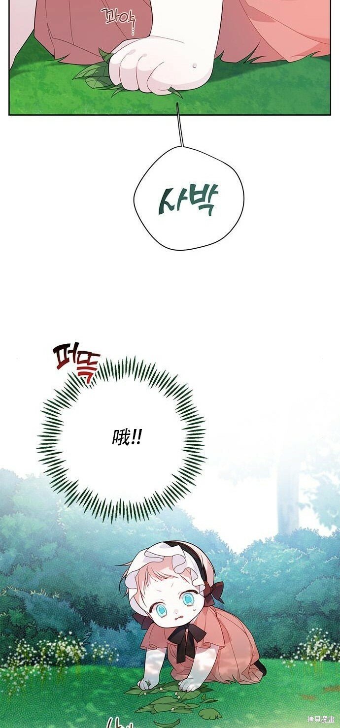 宝贝暴君漫画,[第12话] 难道是只兔子_2图