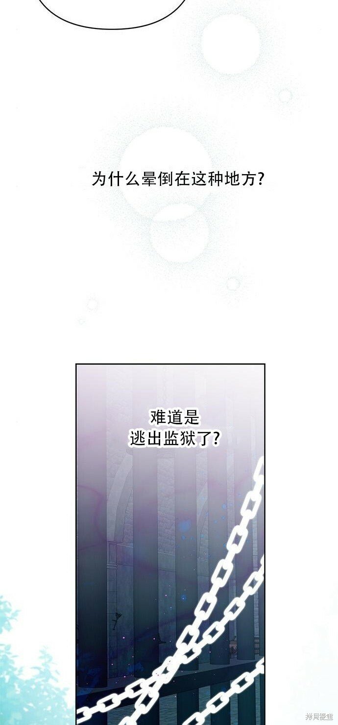 宝贝暴君小说完整版免费阅读看画涯漫画,[第12话] 难道是只兔子_1图